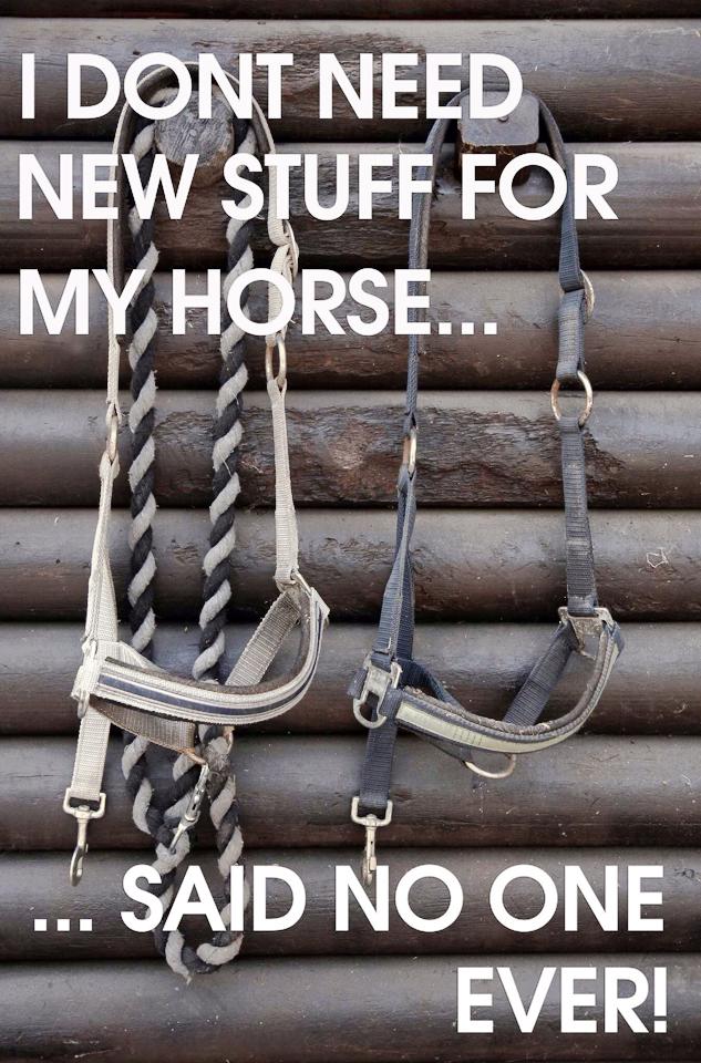 Alexa Cheater tweet media