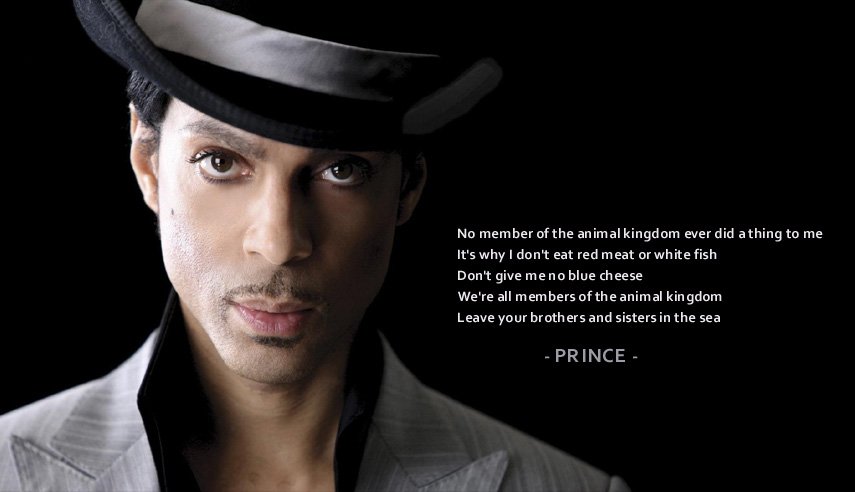 Image result for Prince Twitter