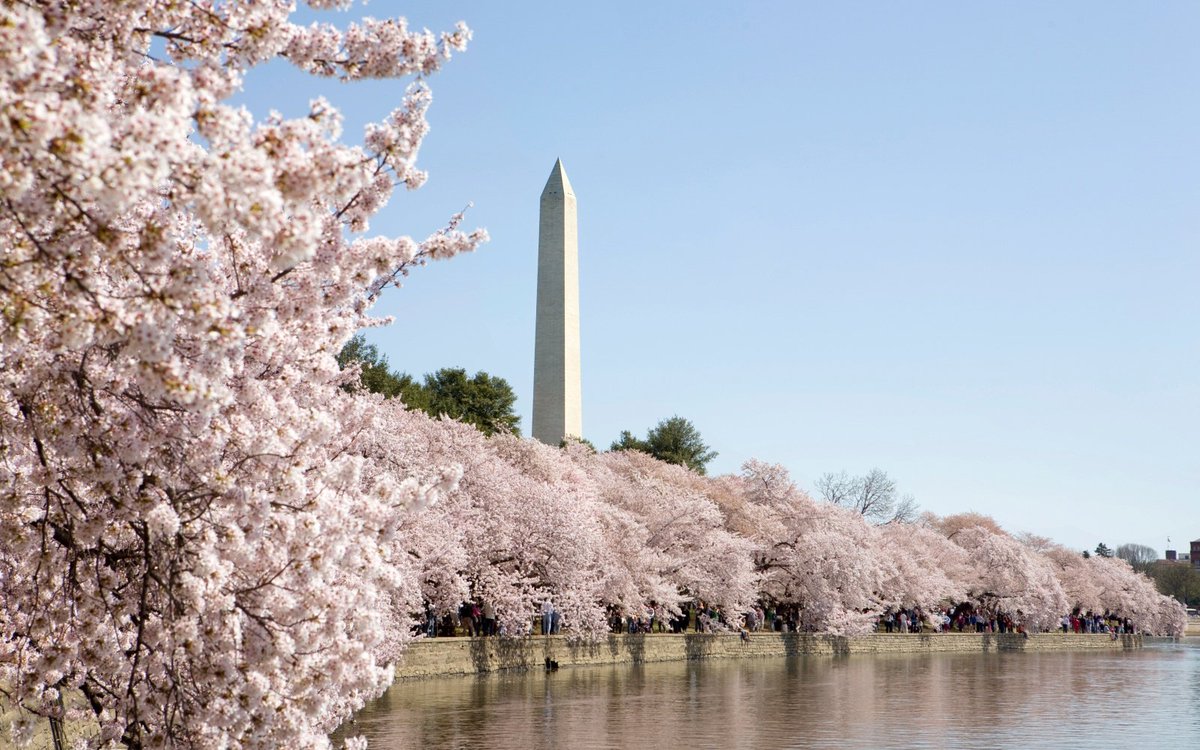 QuikForceMovers's tweet photo. Washington DC: Neighborhoods for rent and things to do (Part 2) https://t.co/EhDEShIcmR https://t.co/uTnT29mDP3