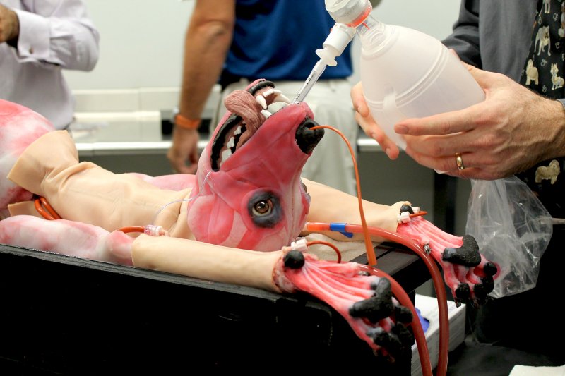 NewportVet's tweet photo. wow. @syndaver Labs launches synthetic #dog model @syndavercanine for #veterinary students https://t.co/9AZeh5rCur https://t.co/AiXTsXlyeC