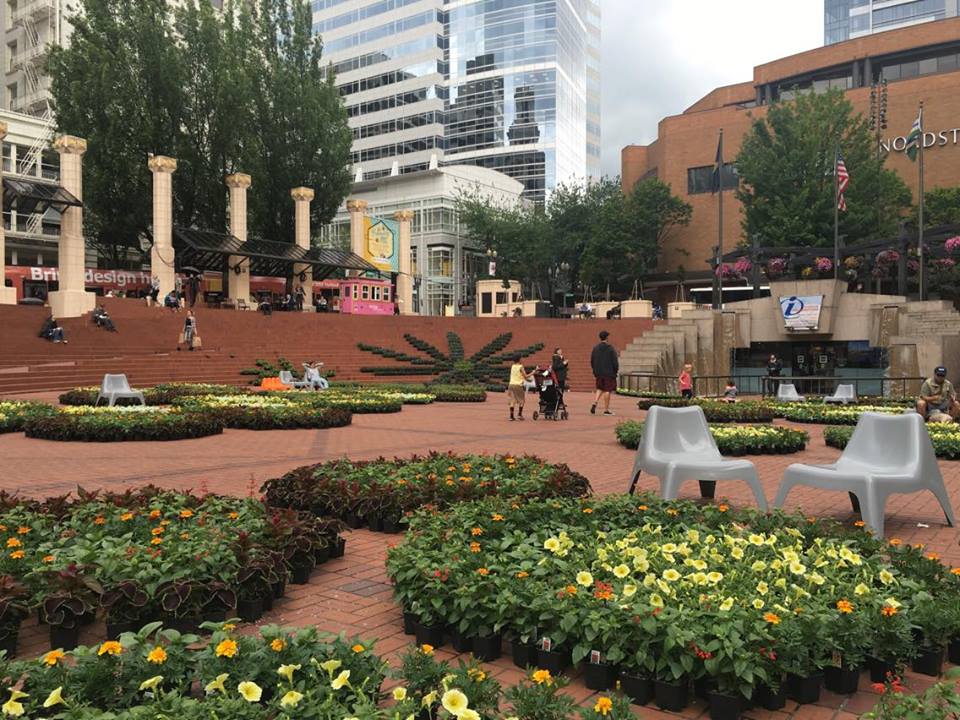Need a little escape from the city? Check out pioneer square and soak up some green #vivenw
