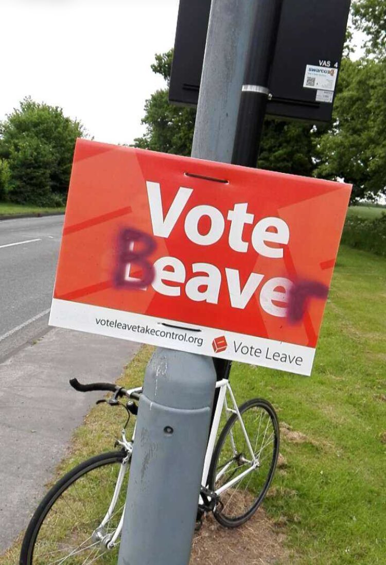 gabby_paolone's tweet photo. @callum_ward12 this is top quality #voteBeaver https://t.co/wjeb0XycGw