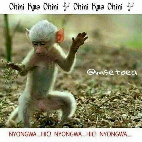 <a href="/kameme101/">Kameme FM Official</a> <a href="/KamleshKamau/">Kamau Kamlesh</a> <a href="/daviewagatoto/">David Mwangi Waweru</a> horera Horera hari Jesu kasongeeeeeee proper  Uuuuuuuuuuu Uuuuuuuuuuu 🏇 🏇 🏇