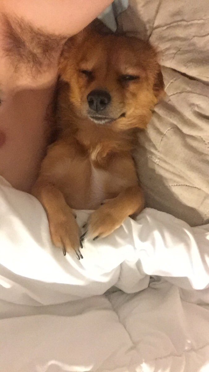 Tugboat's tweet photo. when ur cuddlin w ur man n his armpit stank https://t.co/mD6mzY8hls