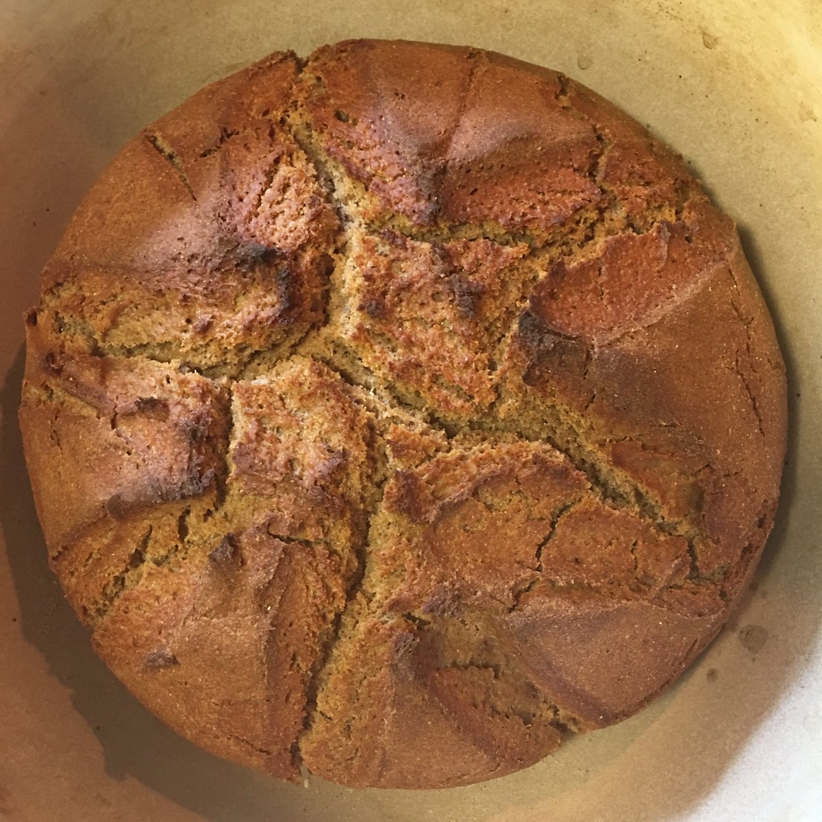 GriotGood's tweet photo. Honey and spice whole wheat and rye #bread #fridaybake #sourdough https://t.co/y3xIE13Y7A
