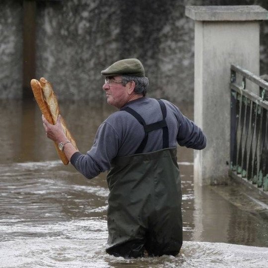 marinelrie's tweet photo. Ahahahahah inondations ou pas, y'a des priorités dans la vie! #frenchthing https://t.co/GOlNgdB2cp