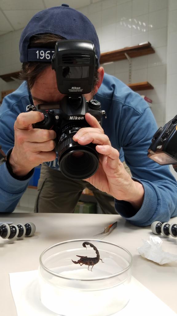 SPZConserve's tweet photo. Photographing a very photogenic #Scorpion in @CentreValBio lab, #Ranomafana #Madagascar. #OneCubicFoot https://t.co/r3Q9uqIdNh