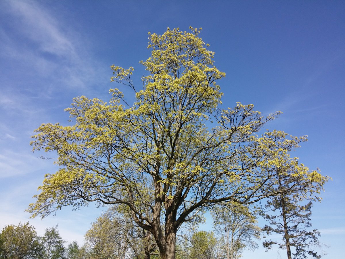 While there are many sources of value, value is the only source of demand.
Think about that.
pricingwire.co