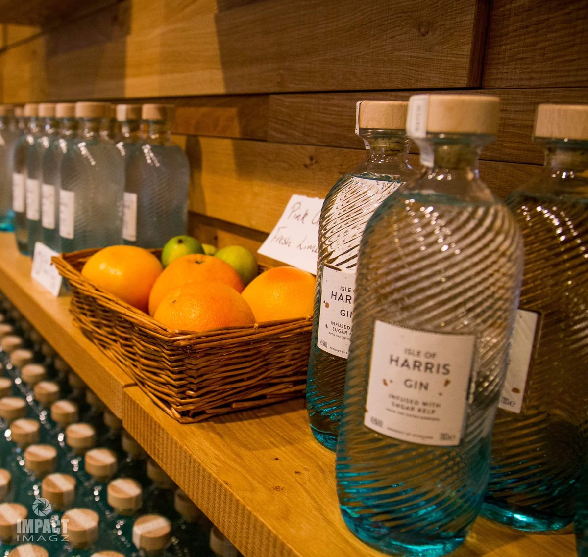 Maggie Macleod tweet media