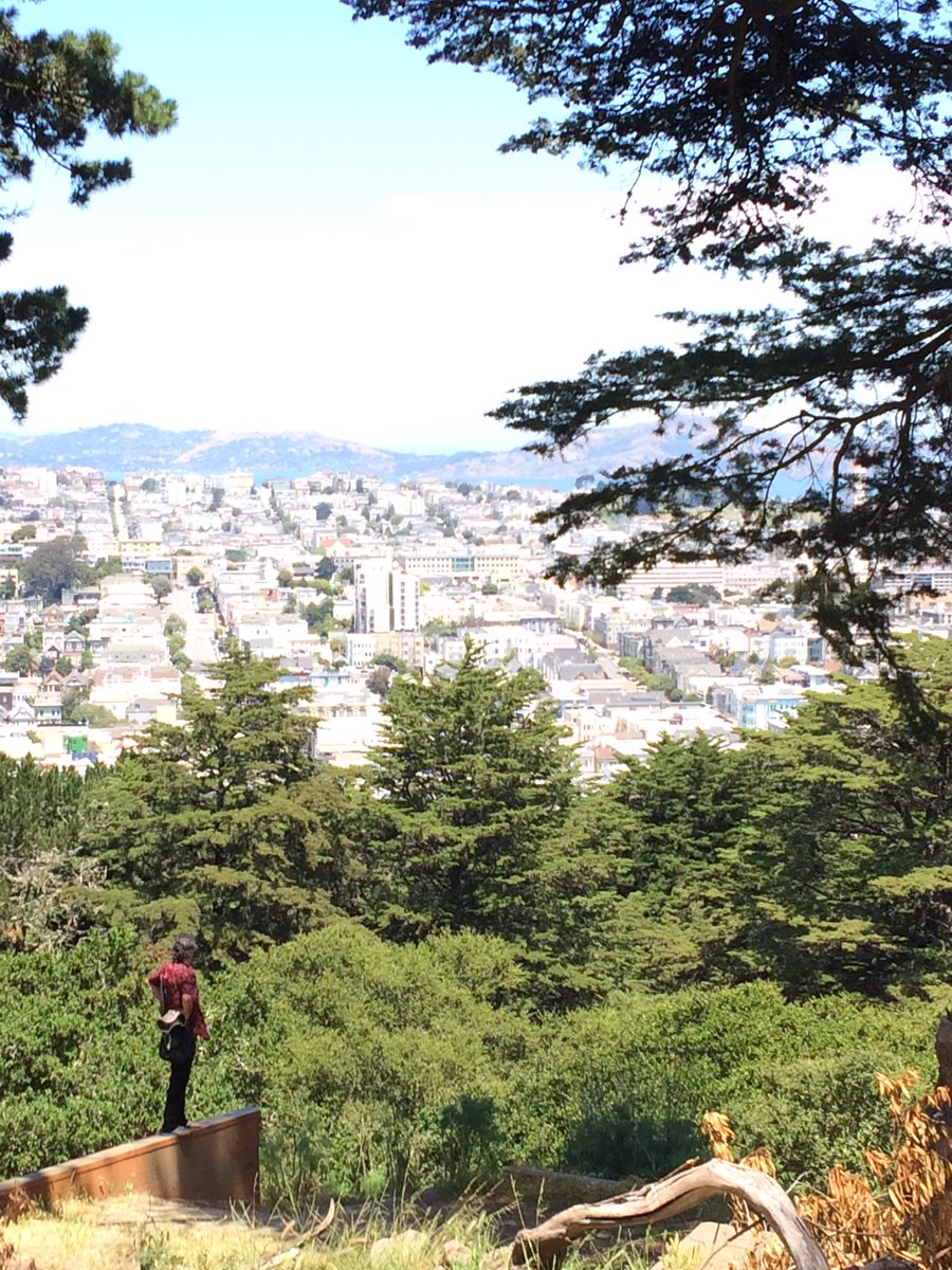 cannanes tweet media