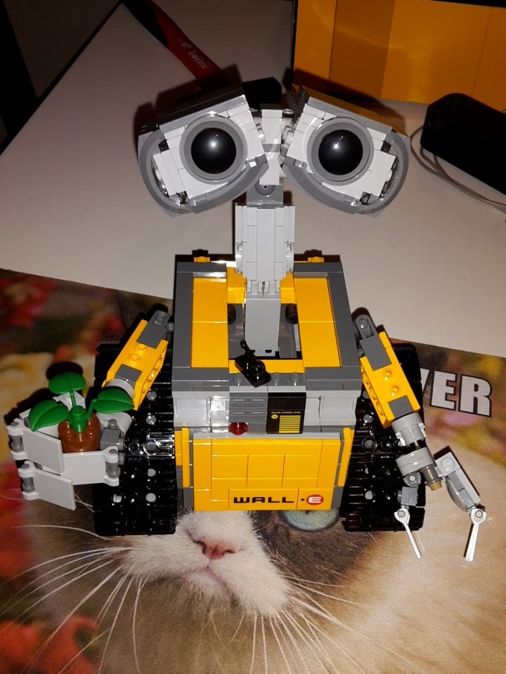 DontCallMeAgent's tweet image. How could you ever say "No" to this little guy?