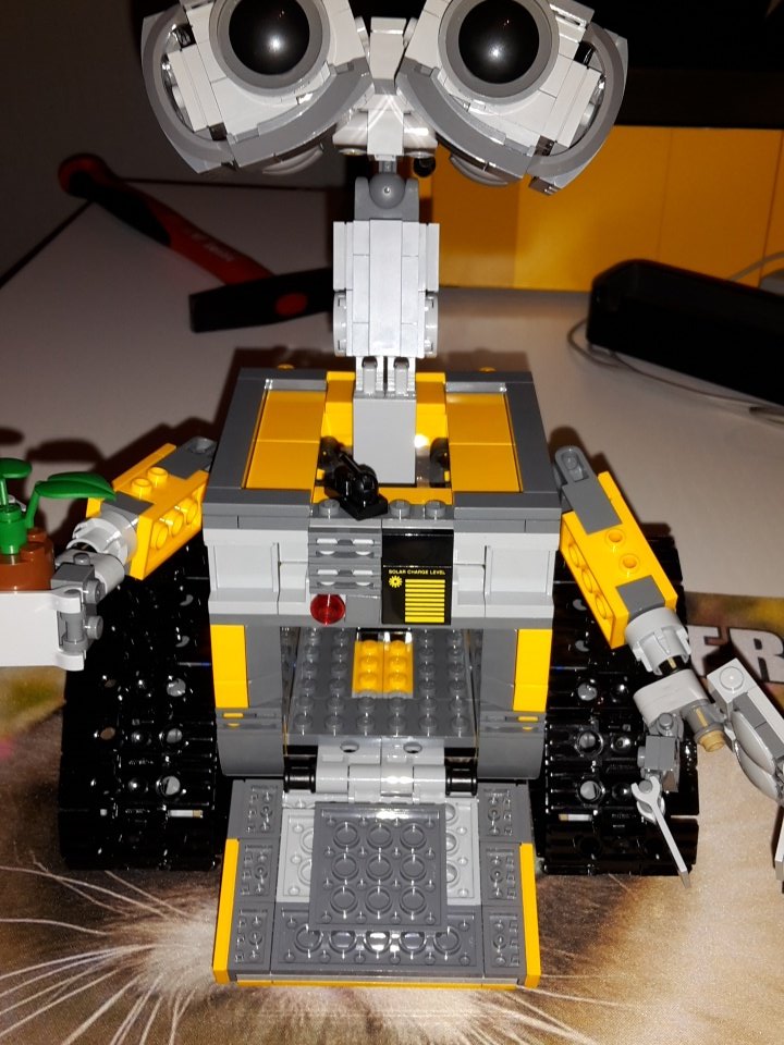 DontCallMeAgent's tweet image. How could you ever say "No" to this little guy?