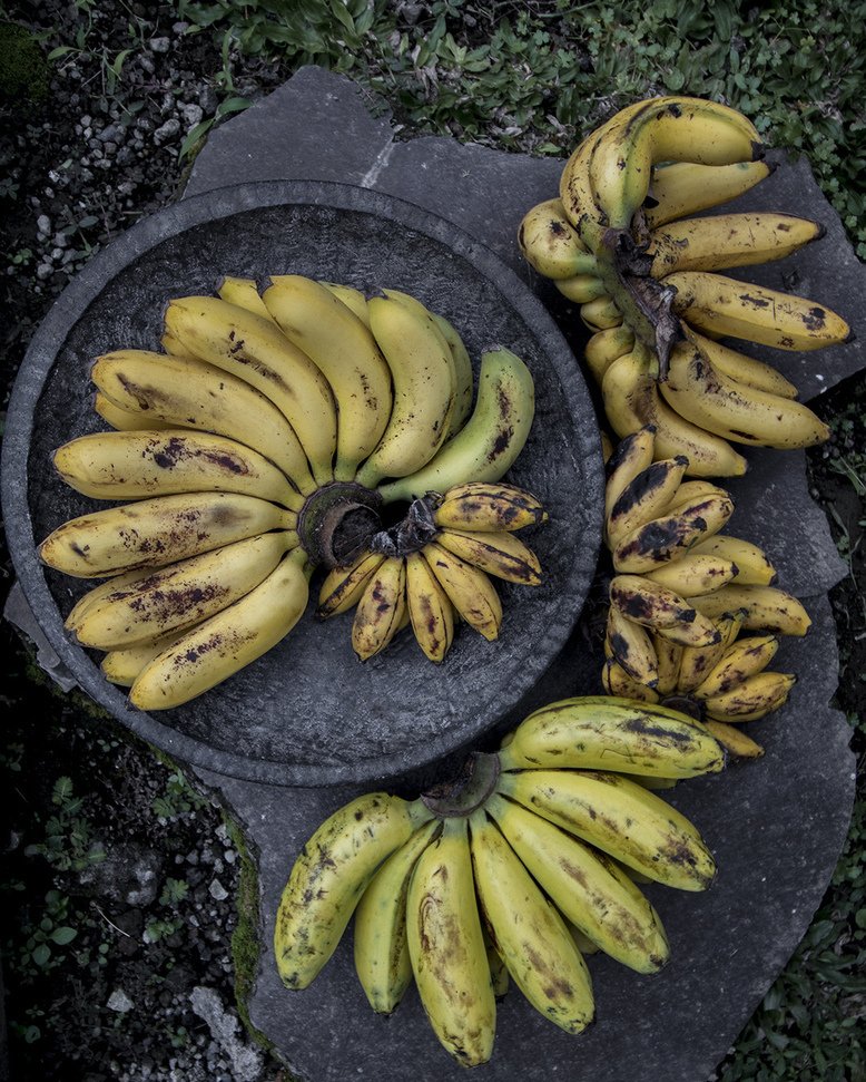 Rawismyreligion's tweet photo. #rawfood #vegan almost ready to eat 🍌  grüne bananen sind nicht die besten, immer schön au… https://t.co/LCGJBSusBR https://t.co/xAZotAXtyG