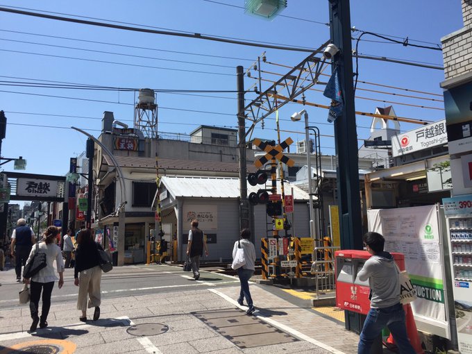 新発売の新発売の678昭和硬券 特定特急券2枚 苫小牧→東室蘭 鉄道