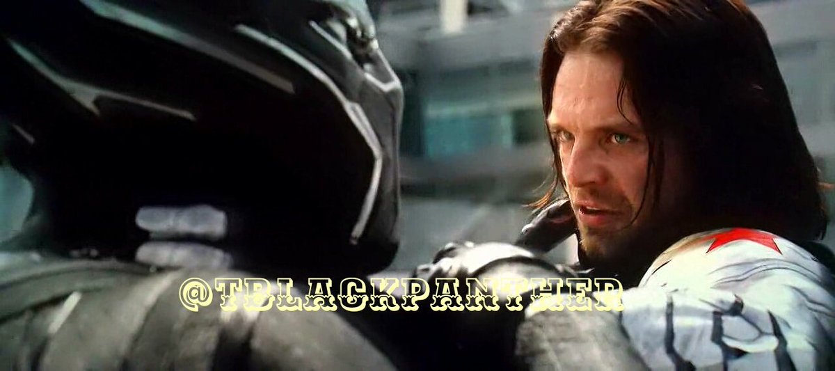 TBlackPanther's tweet photo. The Black Panther with Bucky Barnes https://t.co/GrkJCzKFQs