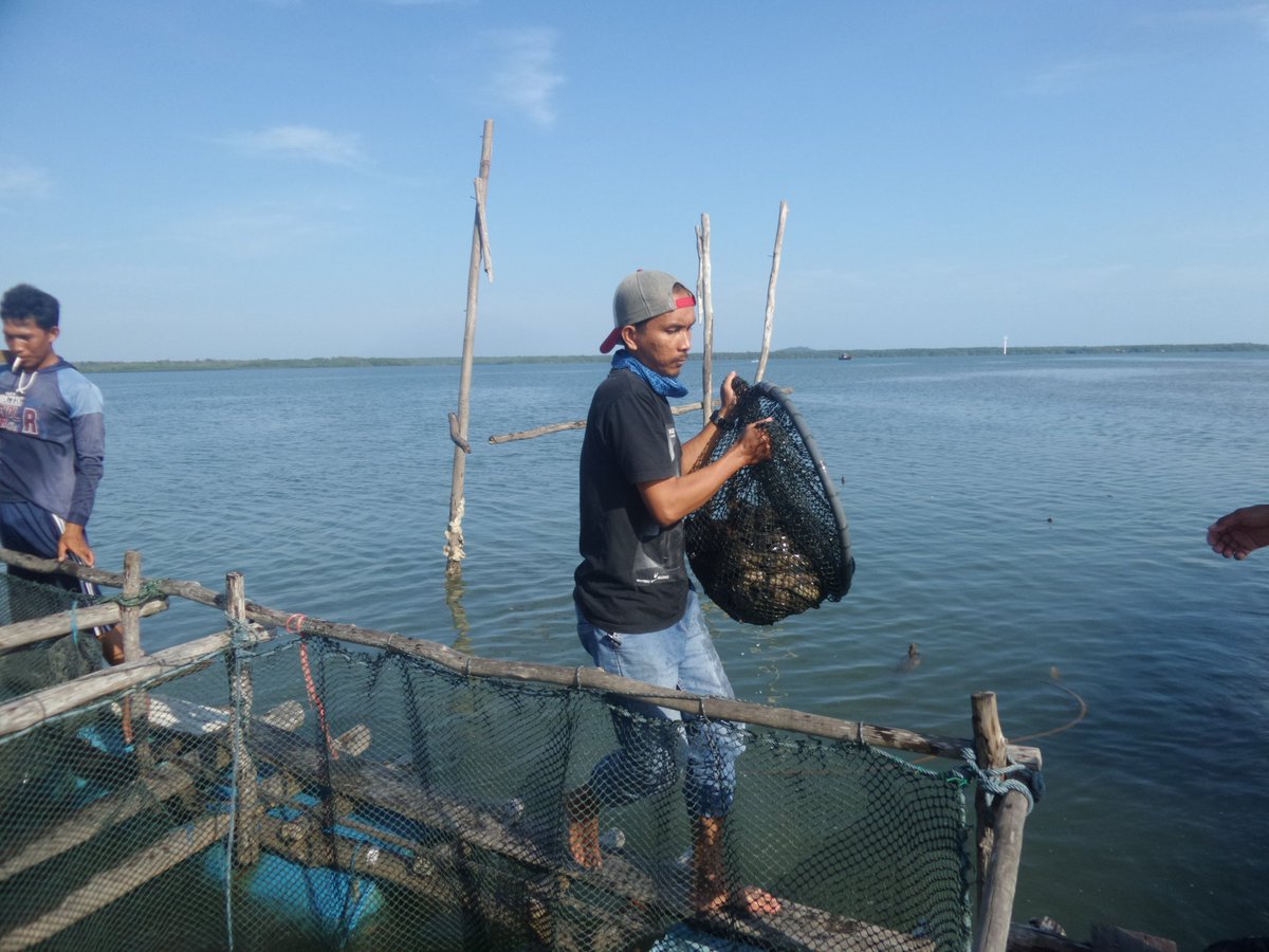 Firmand Syah tweet media