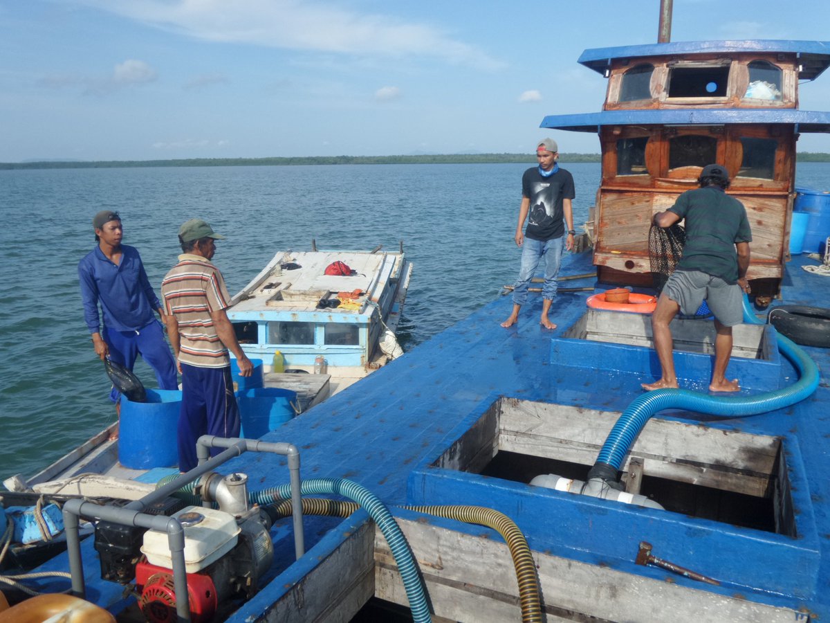 Firmand Syah tweet media