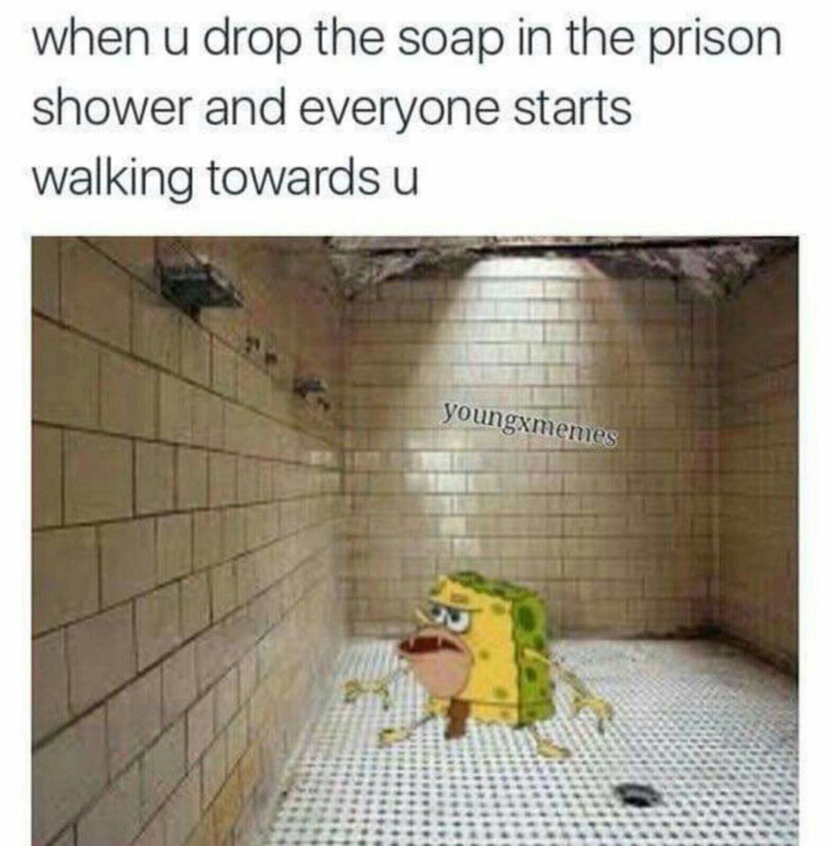 Mk Jx On Twitter Spongegar Memes Everywhere