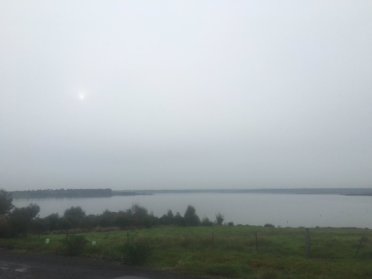 Rosspipesy's tweet photo. Awesome wrong turn! #deadend #Pinarello #soggy #firstrideback https://t.co/Vin62uNe2A