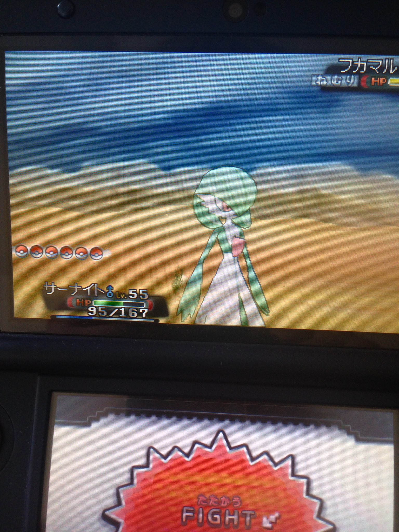 Royさん サーナイトの催眠術で眠りにしてから見事フカマルゲット サーナイト有能 この子かなり序盤でミツルがラルトスゲットしたときに自分もとっとこうと思ってとっといたらかなり有能 フェアリータイプでドラゴンタイプに強いし ポケモンoras