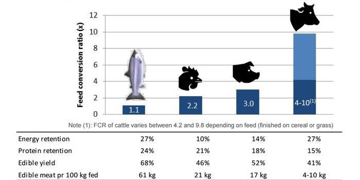 Fish at top of the list of sustainable farmed protein goo.gl/S0mzmf