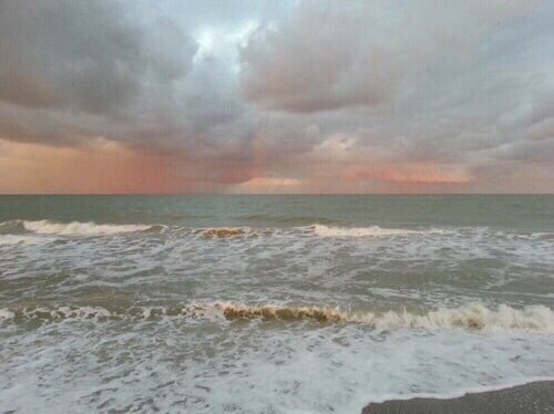 aestheticmisfit's tweet photo. her name was ella https://t.co/tHQlmIQMJC