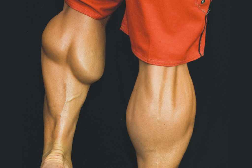 Como conseguir masa muscular en las piernas