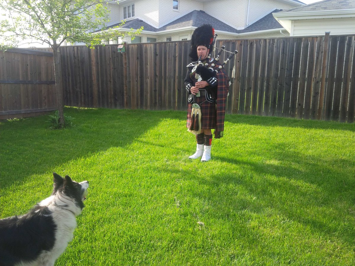 SuperPiperTBay's tweet photo. Only one patron stuck around to hear me play. #FWCC #PDTB #goodboymarsh https://t.co/OCqaAePuKe