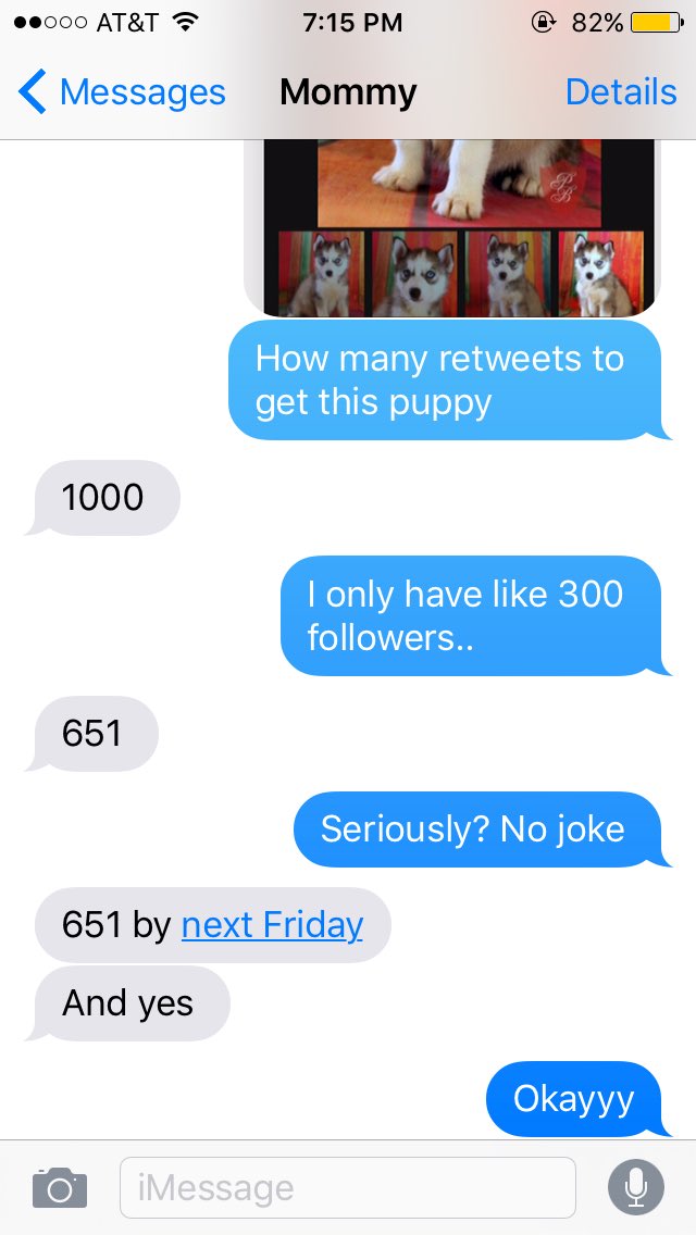 Blaine Williamson (blaine_will) Twitter