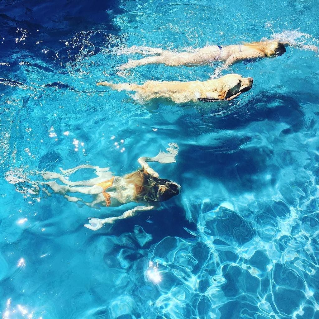 WendyBellissimo's tweet photo. GOTO MY INSTAGRAM FOR DETAILS> https://t.co/gkY0yWzltf 🐾💦 the only way to stay cool today @willowbellissimo #100de… https://t.co/f8cjCA78eK