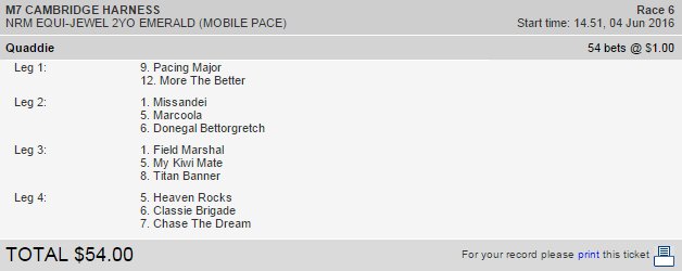 TracksideNZ's tweet photo. RT by 2:40pm &amp; be in to win this $20,000 Bonus Quaddie on #HarnessJewels or take 1 yourself  https://t.co/f2YIcWXDR2 https://t.co/soX7Vj0LXT