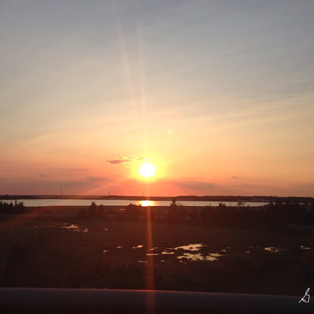 SavvyBabii's tweet photo. Choosing to appreciate the light, every day. ☀️🌅 #drivebysunset https://t.co/vfd6ZZDzxT RT @gia_m