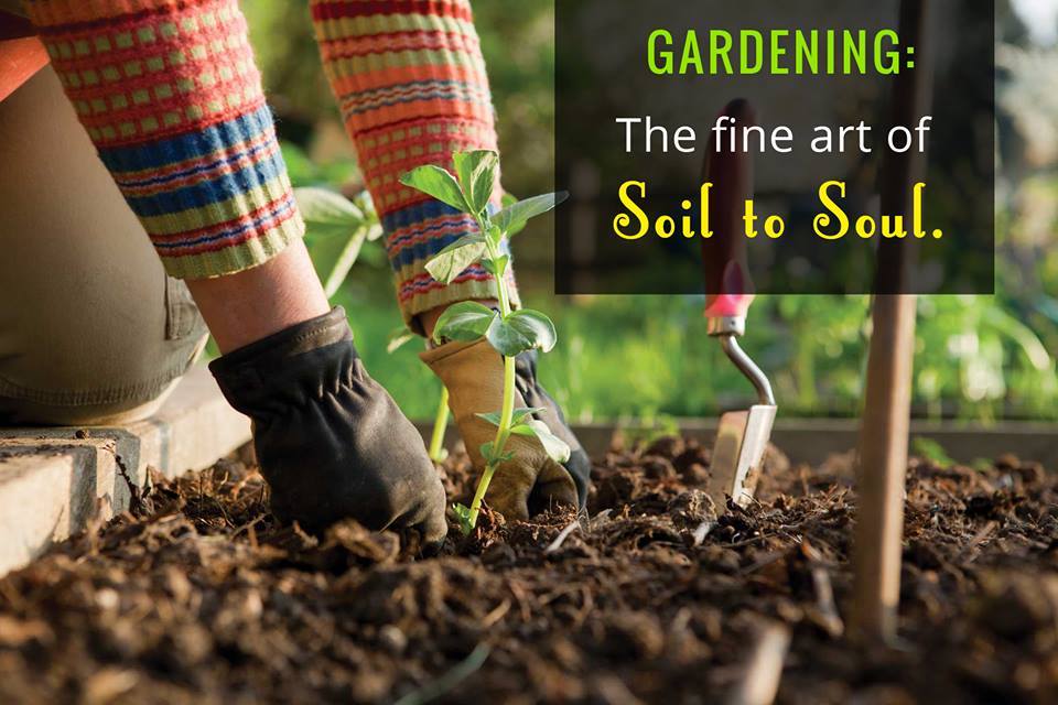 plant2go's tweet photo. ""To plant a garden is to believe in tomorrow""
 #plant2go #luvearth #changetheculture #greengifting #giftthatgrows https://t.co/QwqkknpCTO
