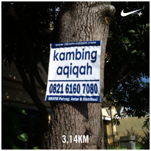 I just ran 3,14 km with Nike+. #nikeplus