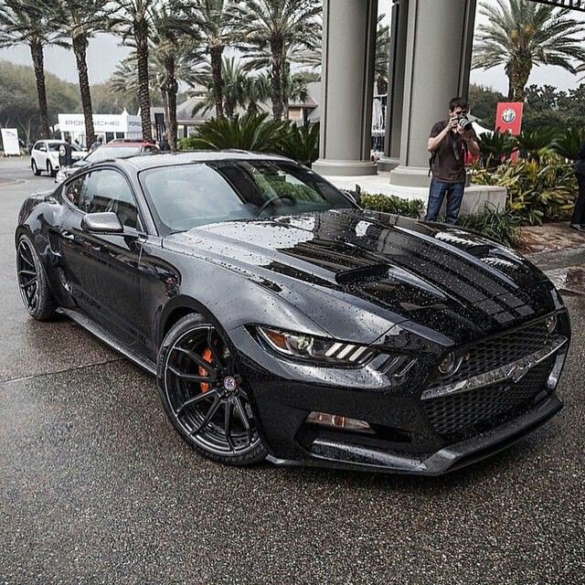dailymustangs's tweet image. Rocket 💪😍
