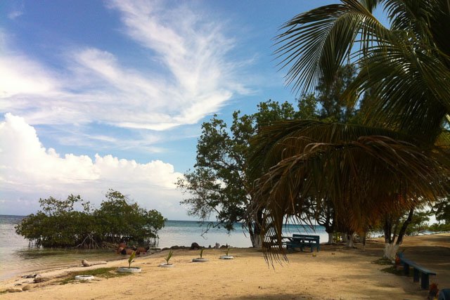 #ScubaDiving in #Honduras, beautiful, cheap, and amazing! Here's a handy guide... ailishinwonderland.com/2016/06/04/fin…