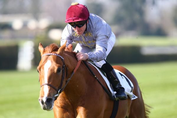 Pronostic_VIP's tweet image. Pronostic Quinté+ du 5 juin : Prix du Jockey Club
bit.ly/20YjYsx