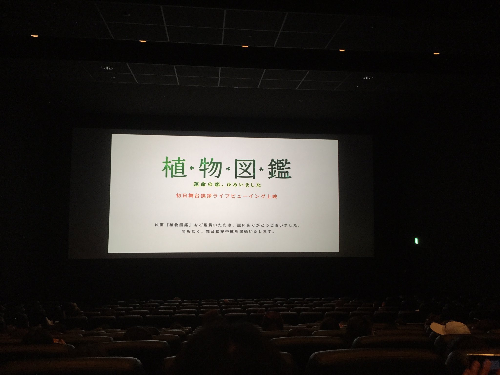 小川 杏 植物図鑑やばい がんちゃんがかっこよすぎてやばい これから舞台挨拶のライブビューイング 植物図鑑 岩田剛典 小川 杏 植物図鑑やばい がんちゃんがかっこよすぎてやばい これから舞台挨拶のライブビューイング 植物図鑑 岩田剛典