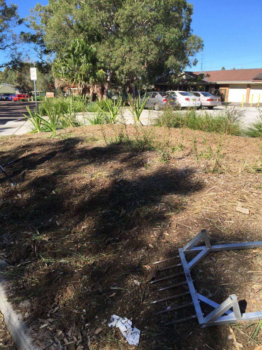 Yarn_Tree's tweet image. This rain is great for the garden and the transplanted Australian Natives.