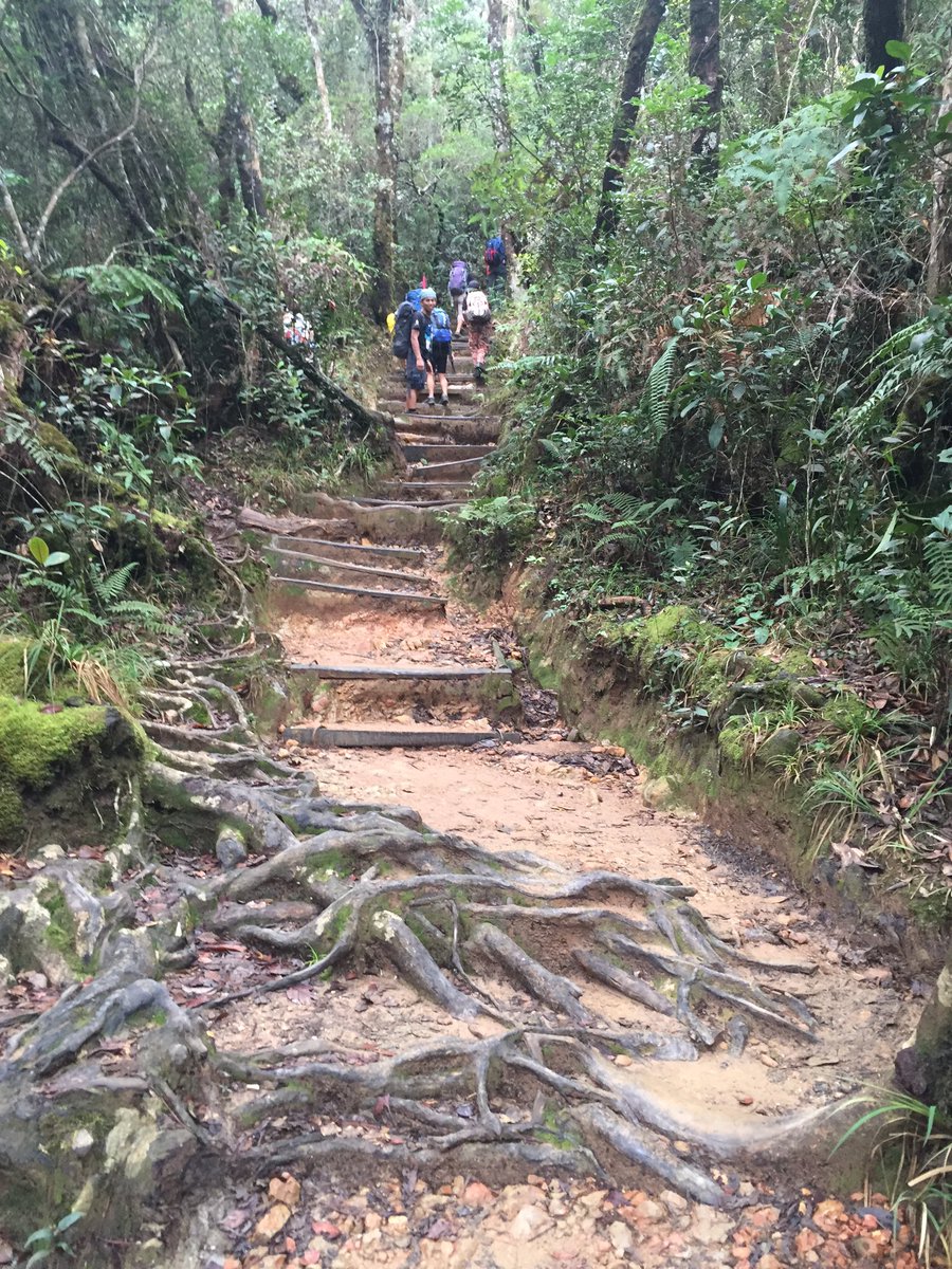 MelanieCNA's tweet photo. Spotted famous hero guide Ridzuan (green bandana) on the way. #SabahQuake #TKPS https://t.co/9R0Xuagvbc