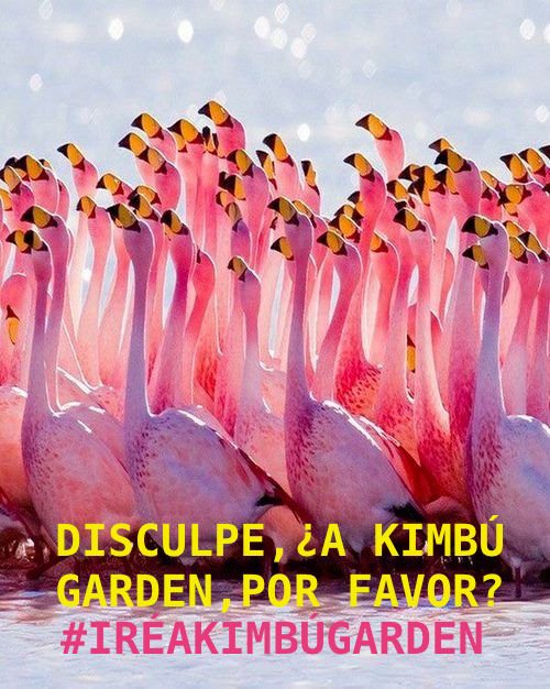 KimbuGarden's tweet photo. #SUMMER MOOD
#PADRES, #MADRES, #HIJOS... Iréis a @KimbuGarden!
#restaurante #ocioinfantil #cuidadoinfantil #madrid https://t.co/tcnBbxylIa