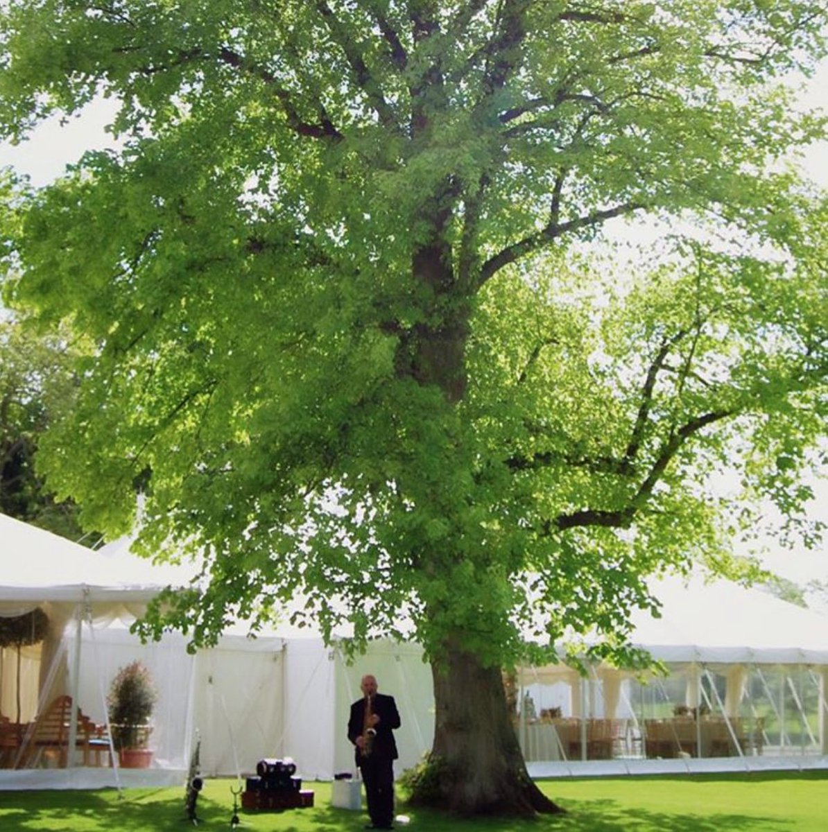 Saxme_Lessons's tweet image. Happy Saturday!

Just a man standing under a #tree playing his #saxophone at a #wedding 😀