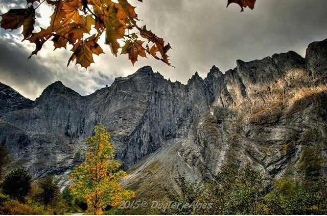 GrandBellevue's tweet photo. Trollveggen, s�� majestetisk #trollveggen #åndalsnes #reiseliv #besafie https://t.co/YXAwRzFOML