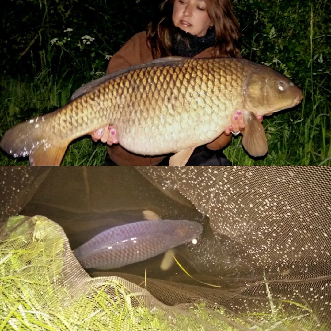17lb 14oz that will do nicely 🎣#carpcouture #carpgirl #carpfishing