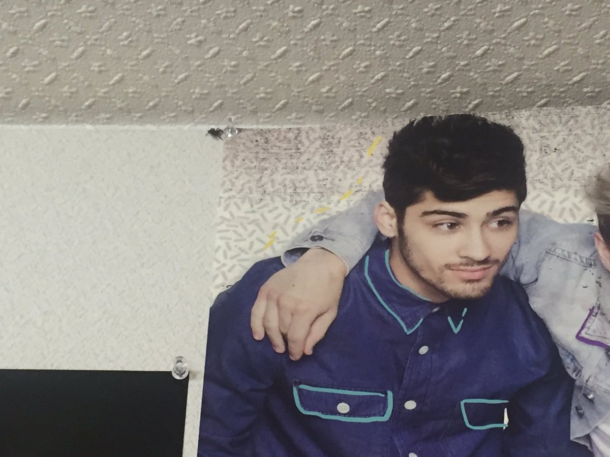 2151Ua's tweet photo. zayn危機。でかいクモが近づいてる https://t.co/D7fEBjox17