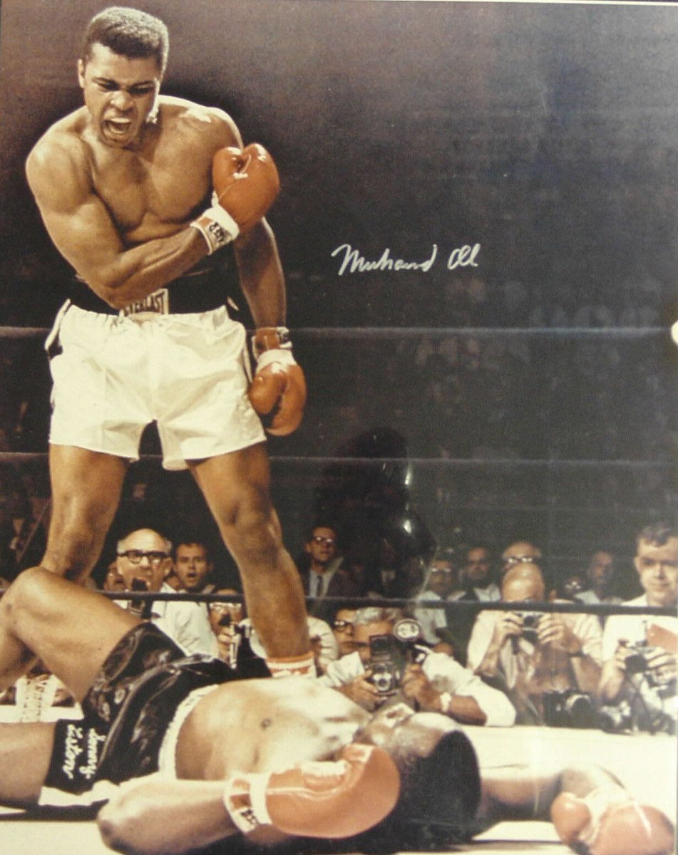 RGoday's tweet photo. Rest in Peace Champ you will be missed. https://t.co/2MMELa5kdV