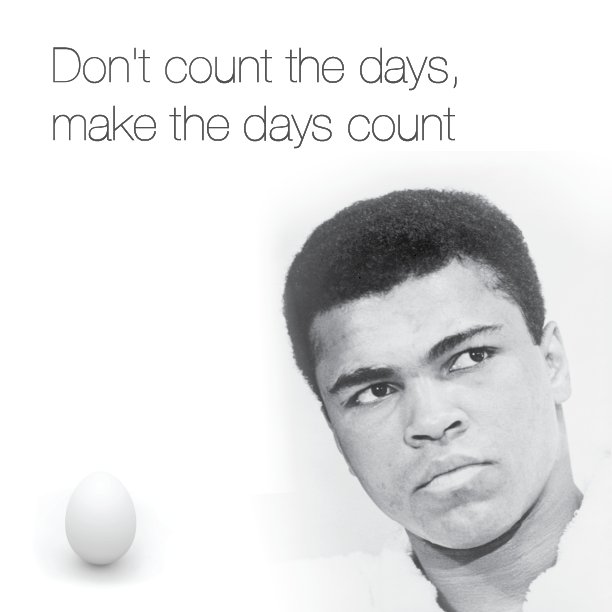 "Don't count the days, make the days count." @muhammadali, The Greatest of All Time (RIP, 1942- 2016)