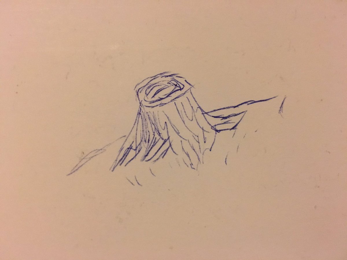 WernerHReviews's tweet image. "This log is a representation of a man who is destined to be single"