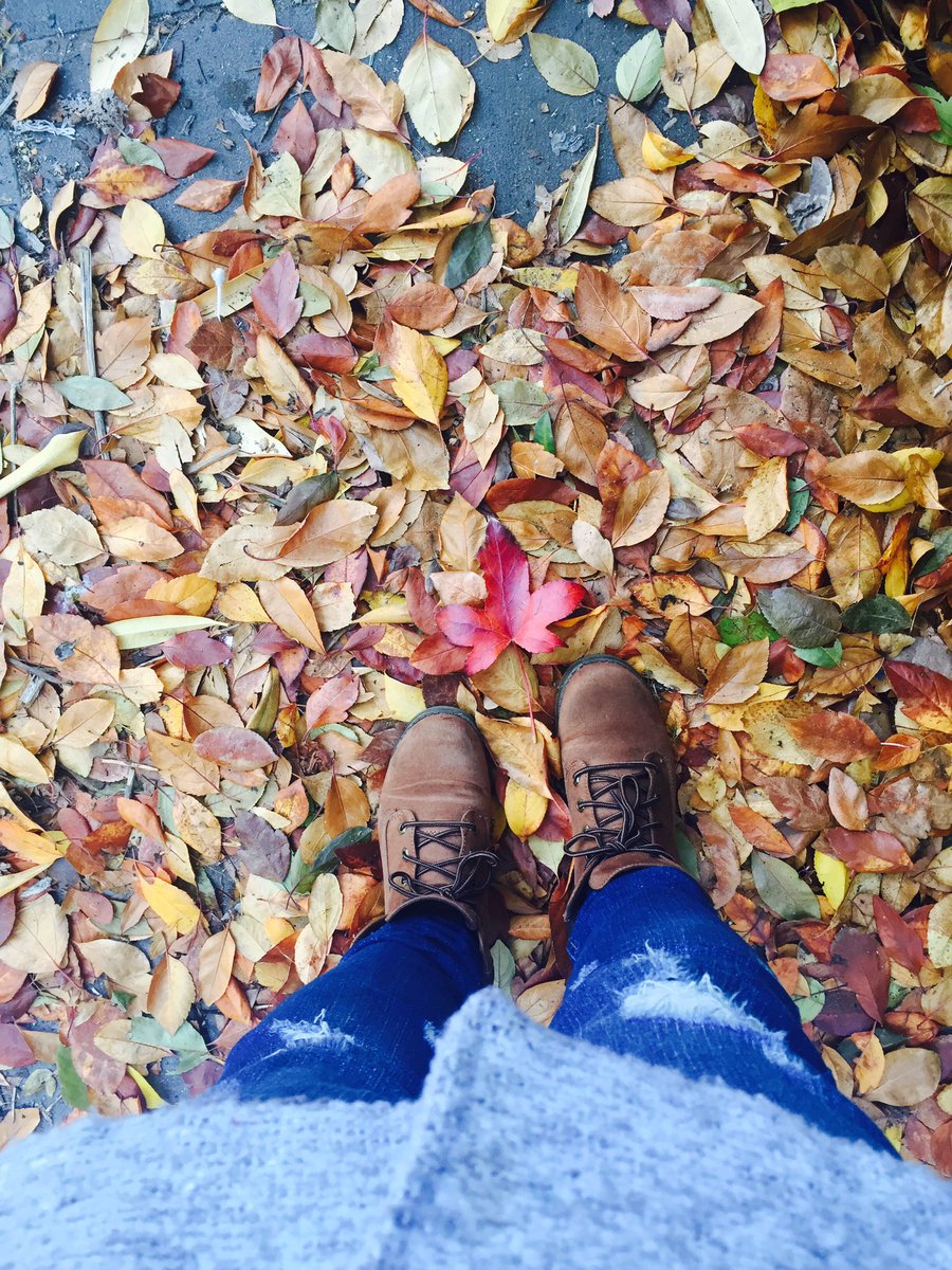 vsim1708's tweet photo. #springhasgone https://t.co/WVFN8ssBoP