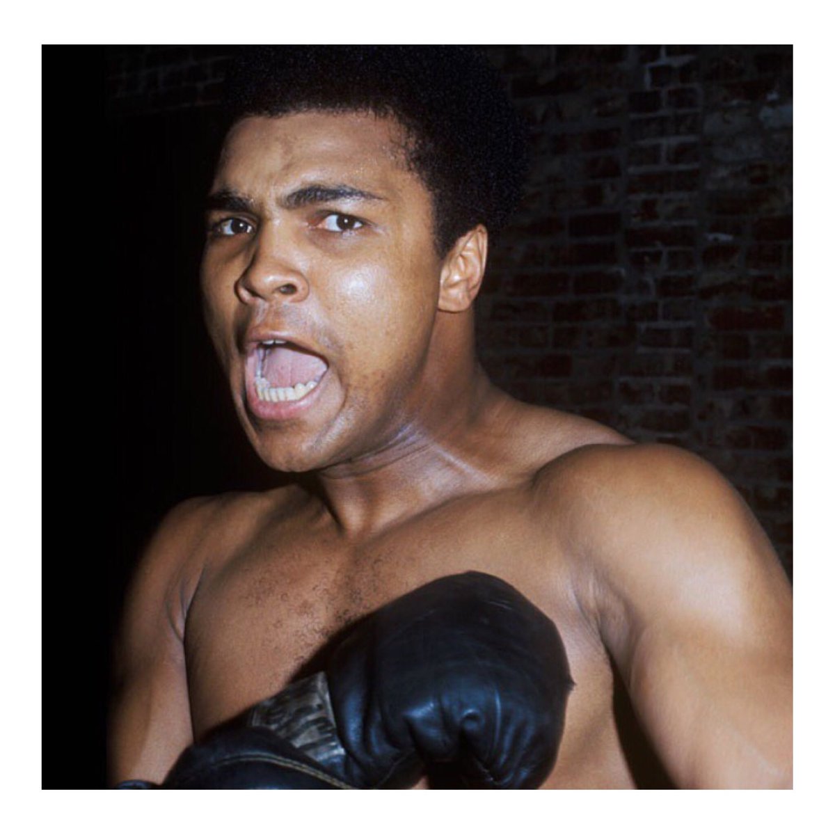 ApetiveBrand's tweet photo. #MuhammadAli #TheGreatest https://t.co/3chdQYW6fw
